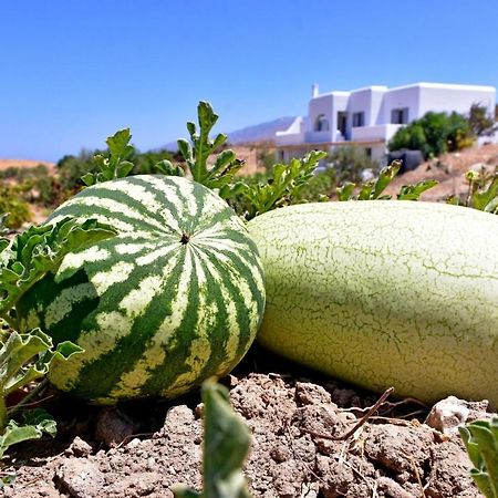 Relaxia Estate Naxos Apartment Galini  Екстериор снимка