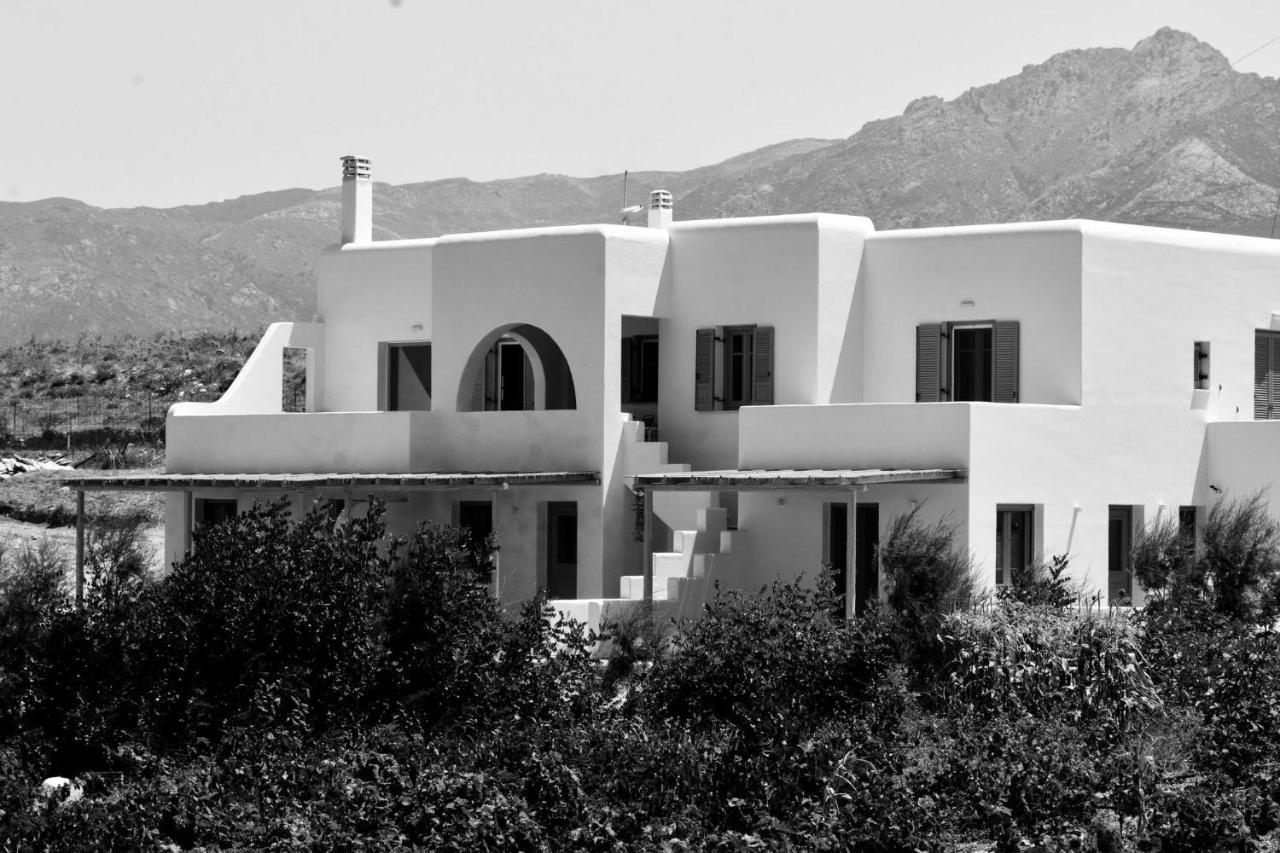 Relaxia Estate Naxos Apartment Galini  Екстериор снимка